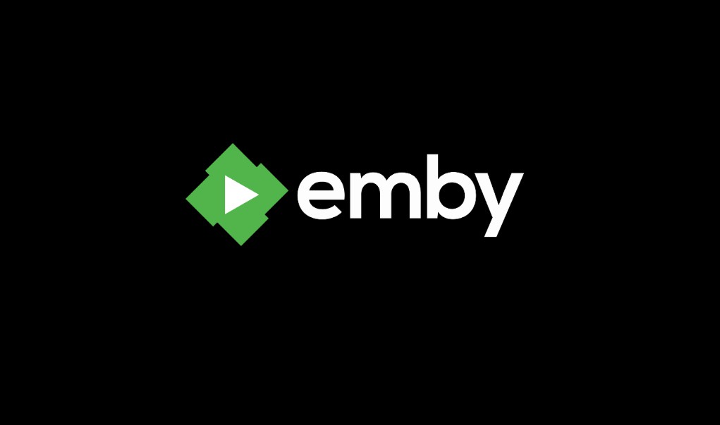 自动清理EMBY转码目录的脚本(Linux)